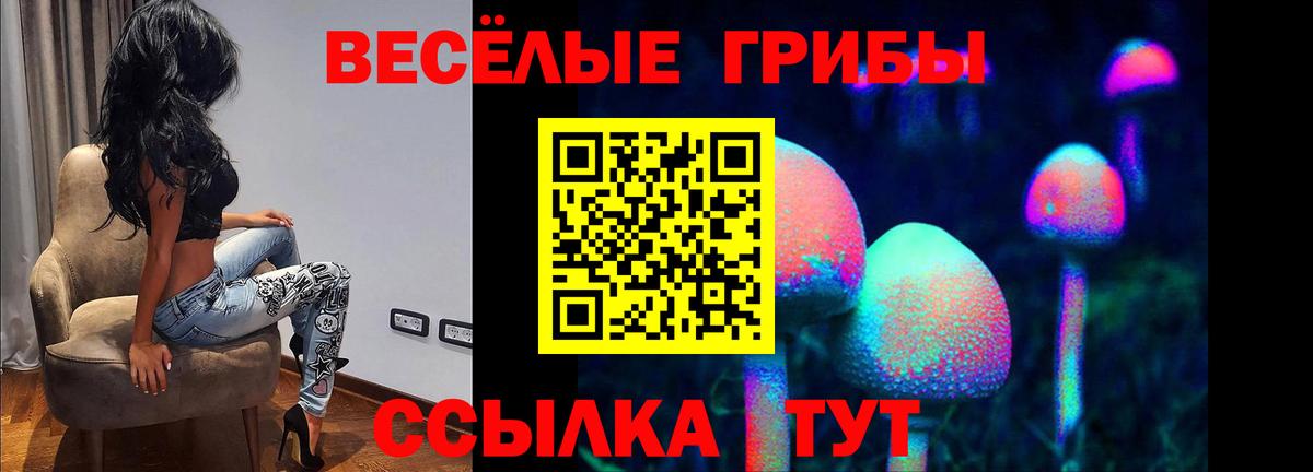 Псилоцибиновые грибы Cubensis Алексеевка
